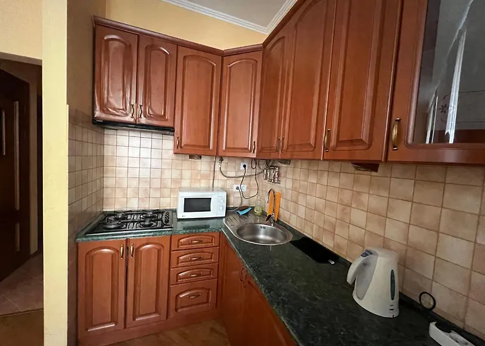 House з кондиціонером 公寓 利沃夫